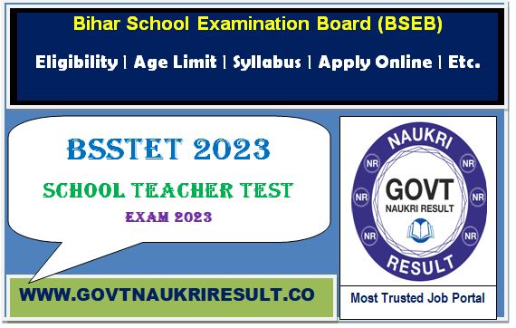  BSEB Bihar STET 2024 Dummy Admit Card  